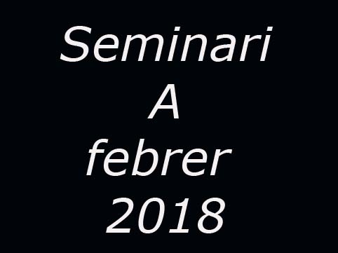 Seminari A febrer 2018