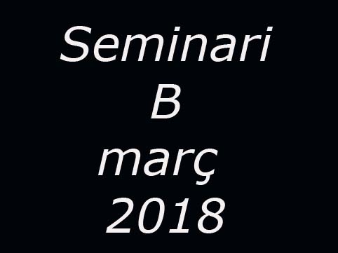 Seminari B març 2018